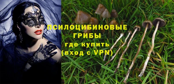 эйфоретик Баксан